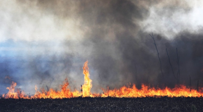 Incendios: persisten focos “fuera de control” en Tucumán y Catamarca